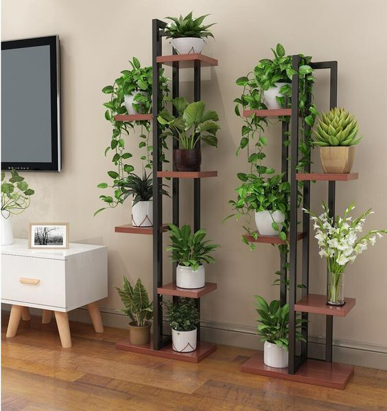 Estante de madeira com várias plantas de diferentes tamanhos criando um jardim vertical interno.